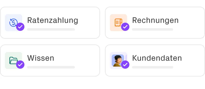 Hinterlegte Themen wie Ratenzahlung, Rechnungen, Wissen und Kundendaten